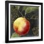 Melange III-Color Bakery-Framed Giclee Print