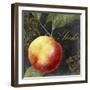 Melange III-Color Bakery-Framed Giclee Print