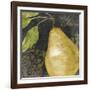 Melange IV-Color Bakery-Framed Giclee Print