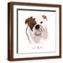 Brown Frame