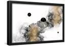 Essential Black