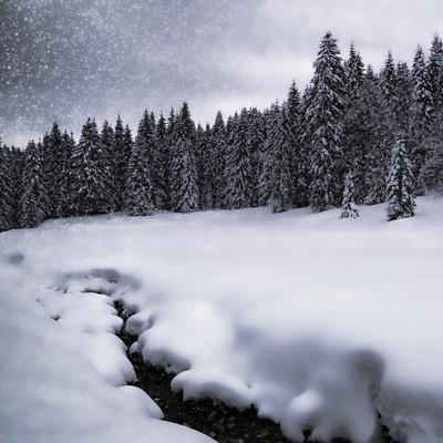 Bavarian Winter'S Tale VII