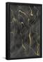 Essential Black
