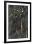 Gramercy Black