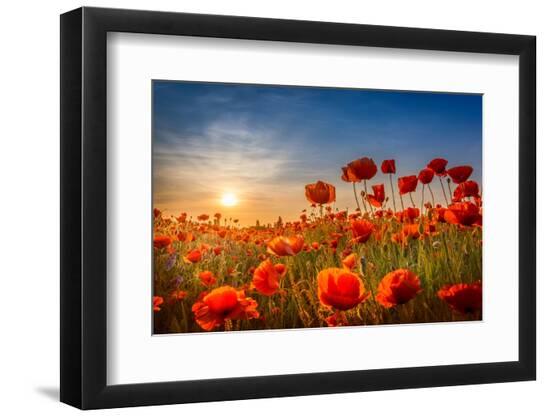Premium Photographic Print, , large