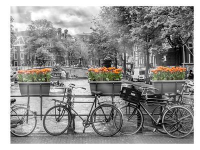 Typical Amsterdam - Panoramic View