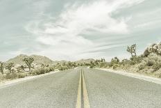 Vintage Joshua Trees, Park Boulevard-Melanie Viola-Photographic Print