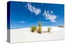 Stretched Canvas