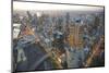 Melbourne aerials, Cityscapes.-John Gollings-Mounted Photo