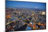 Melbourne aerials, Cityscapes.-John Gollings-Mounted Photo