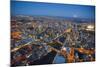 Melbourne aerials, Cityscapes.-John Gollings-Mounted Photo