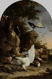 A Hunters Bag Near a Tree Stump with a Magpie, known as the Contemplative Magpie-Melchior d'Hondecoeter-Art Print