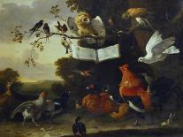 Waterfowl in a Classical Landscape, 17th Century-Melchior de Hondecoeter-Giclee Print