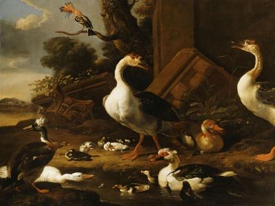 Chinese and Egyptian Geese and Other Birds in a Landscape with Ruins Nearby