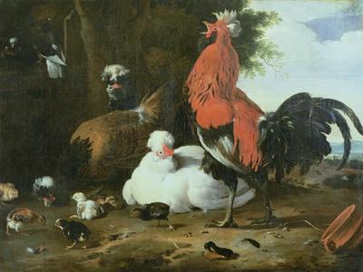 Farmyard Fowls with Pigeons
