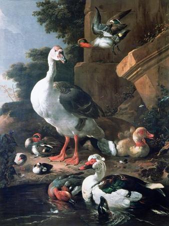 Waterfowl in a Classical Landscape, 17th Century