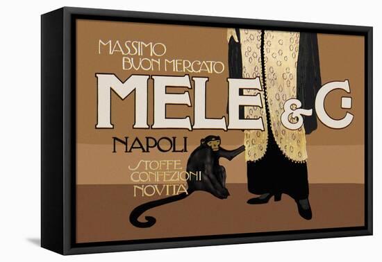 Mele and C-Aleardo Terzi-Framed Stretched Canvas