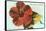 Mele Kalikimaka, Hibiscus Blossom-null-Framed Stretched Canvas