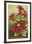 Mele Kalikimaka, Poinsettias-null-Framed Art Print