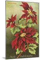 Mele Kalikimaka, Poinsettias-null-Mounted Art Print