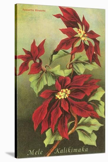 Mele Kalikimaka, Poinsettias-null-Stretched Canvas