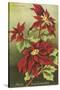 Mele Kalikimaka, Poinsettias-null-Stretched Canvas