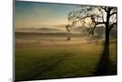 Wood Mount