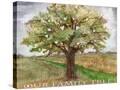 Stretched Canvas