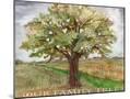 Wood Mount