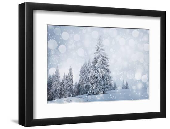 Premium Photographic Print, , large
