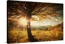 Stretched Canvas