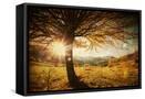 Canvas Black