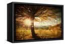 Canvas Black