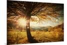 Wood Mount