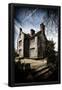 Essential Black