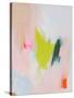 Stretched Canvas