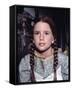 Melissa Gilbert-null-Framed Stretched Canvas