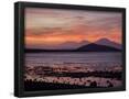 Essential Black