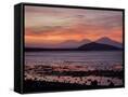 Canvas Black
