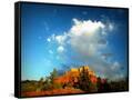 Canvas Black