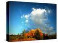 Stretched Canvas