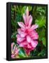 Essential Black