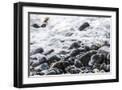 Black Frame