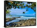 Canvas Black
