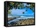 Canvas Black