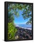 Essential Black