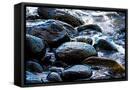 Canvas Black