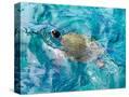 Stretched Canvas