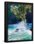 Essential Black