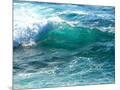Wood Mount